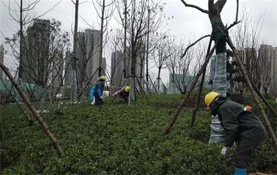 ylg060net永利娱高(中国)股份有限公司官网
